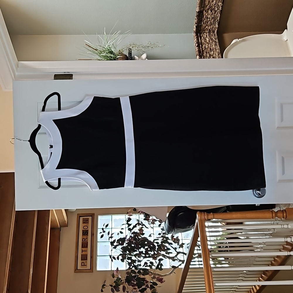 NWT Talbots Dress
